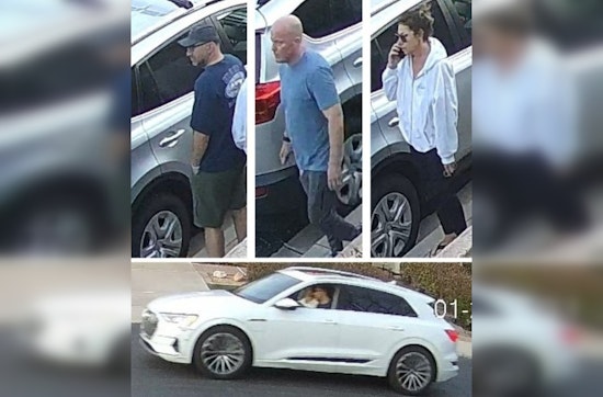 Phoenix Police Search for Trio Suspected in $100K Car Vandalism Spree After Protest