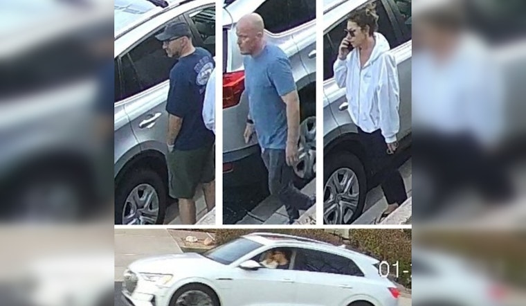 Phoenix Police Search for Trio Suspected in $100K Car Vandalism Spree After Protest