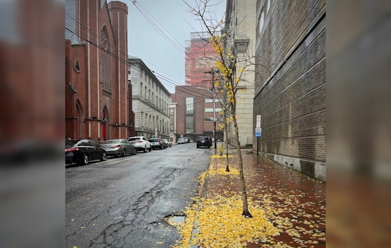 Portland Braces for String of Rainy Days with Thunderstorms in Forecast