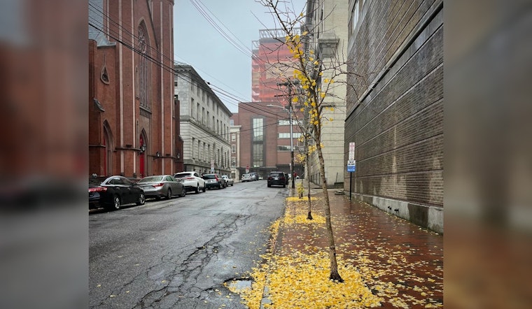 Portland Braces for String of Rainy Days with Thunderstorms in Forecast