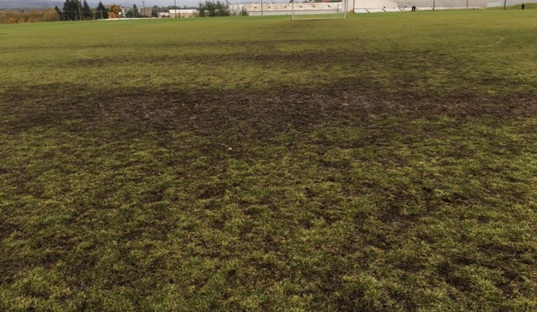 Portland Parks & Rec Shuts Grass Athletic Fields Due to Soggy Conditions, Seeks Synthetic Alternatives