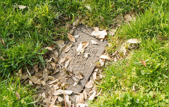 Portland Residents Urged to Clear Water Meter Areas During Spring Maintenance Season
