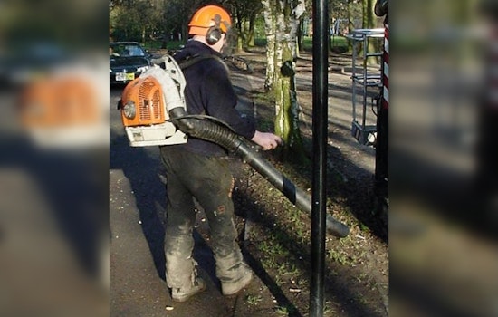 Portland Votes to Ban Gas-Powered Leaf Blowers by 2028 Amid Pollution Concerns