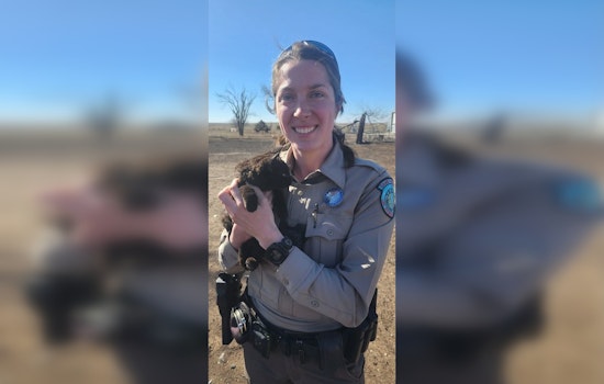 Resilient Felines Amid Texas Tragedy, Game Warden Rescues Kittens from State’s Largest Wildfire