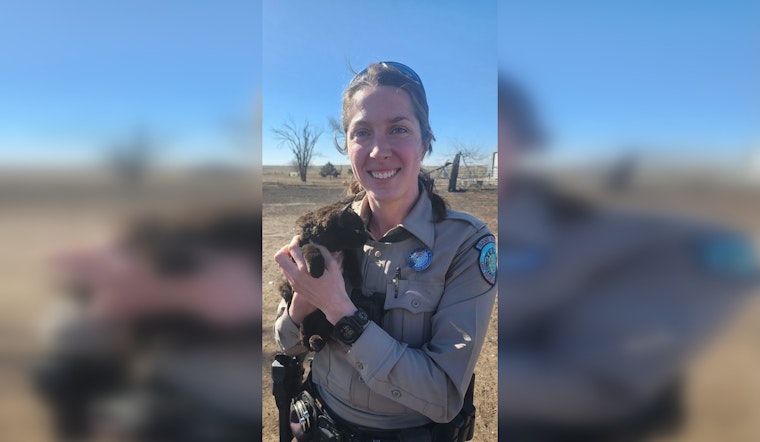 Resilient Felines Amid Texas Tragedy, Game Warden Rescues Kittens from State’s Largest Wildfire