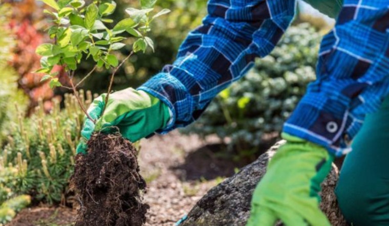 San Antonio Botanical Garden's Unique Workshop Cultivates Joy for Dementia Patients and Caregivers