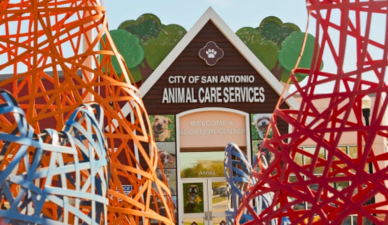San Antonio Implements Plan to Improve Animal Welfare and Increase Pet Retention