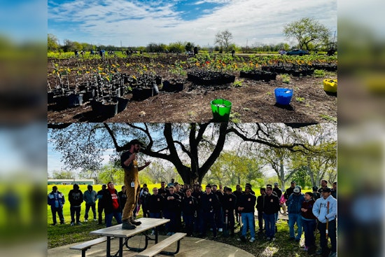San Antonio Launches Urban Farming Initiative to Address Food Insecurity and Promote Sustainability