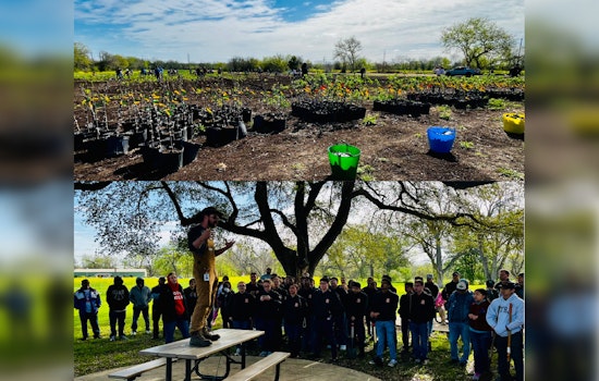 San Antonio Launches Urban Farming Initiative to Address Food Insecurity and Promote Sustainability
