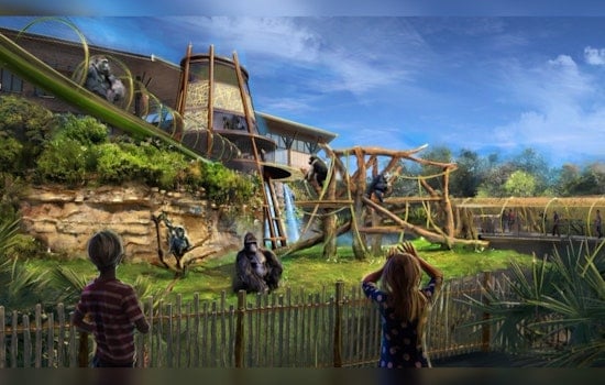 San Antonio Zoo Brings Gorillas Back After 30 Years with Innovative Congo Falls Habitat