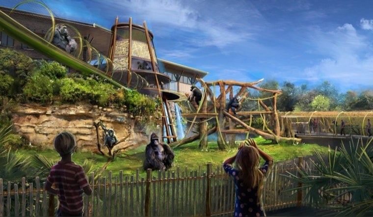 San Antonio Zoo Brings Gorillas Back After 30 Years with Innovative Congo Falls Habitat