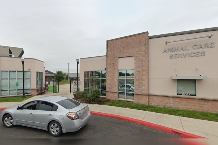 San Antonio's Animal Care Services to Implement Changes After Audit Reveals Oversight Issues in Rescue Partnerships