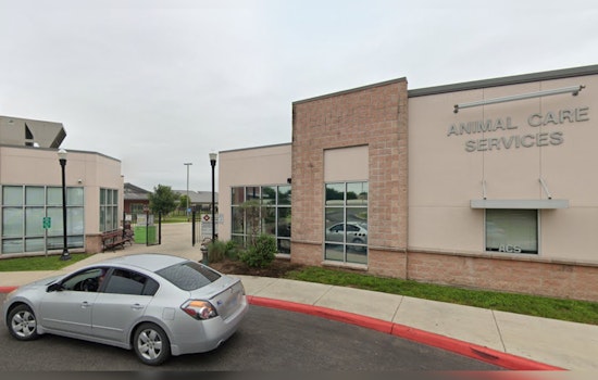 San Antonio's Animal Care Services to Implement Changes After Audit Reveals Oversight Issues in Rescue Partnerships