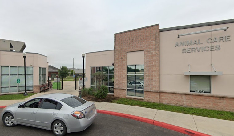 San Antonio's Animal Care Services to Implement Changes After Audit Reveals Oversight Issues in Rescue Partnerships