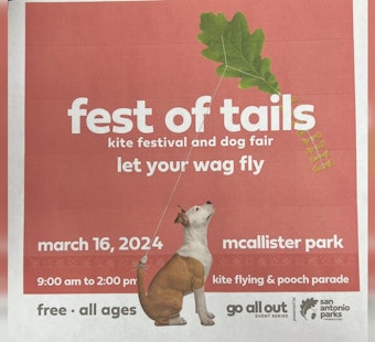 San Antonio's Fest of Tails Returns with Kites and Canine Fun at McAllister Park