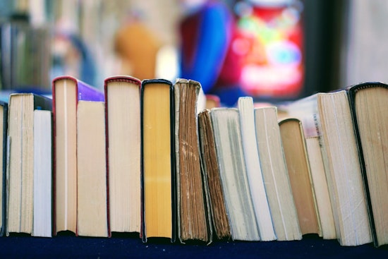 San Antonio's Southside Book Fair Celebrates Local Literature and Cultivates Community Creativity