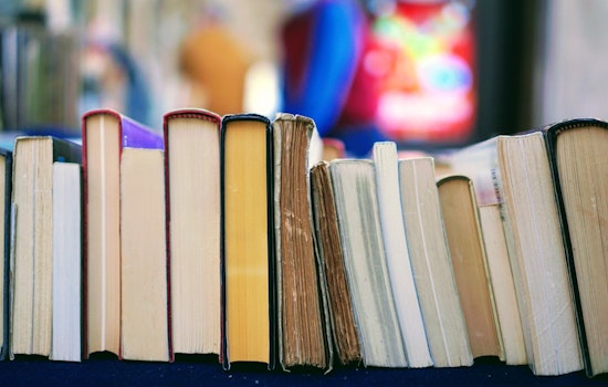 San Antonio's Southside Book Fair Celebrates Local Literature and Cultivates Community Creativity