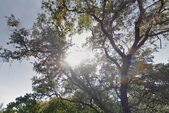 San Antonio's Weather Roller Coaster, From Sunny Skies to Potential Storms Within a Week