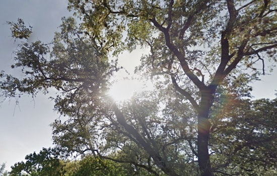 San Antonio's Weather Roller Coaster, From Sunny Skies to Potential Storms Within a Week