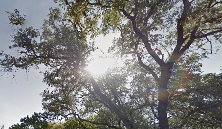 San Antonio's Weather Roller Coaster, From Sunny Skies to Potential Storms Within a Week