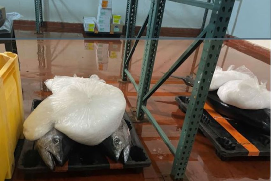 San Diego Poaching Ring Busted for Illegal Fish Sales, Over $26K in Unlawful Transactions
