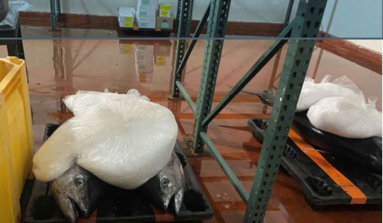 San Diego Poaching Ring Busted for Illegal Fish Sales, Over $26K in Unlawful Transactions
