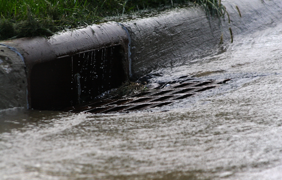 San Francisco Accused of Flushing Sewage Scandal into Iconic Bay