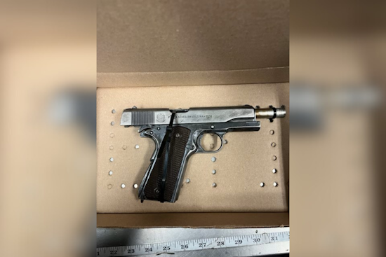 Santa Rosa Traffic Stop Leads to Arrest of Fairfield Pair on Gun and Drug Charges