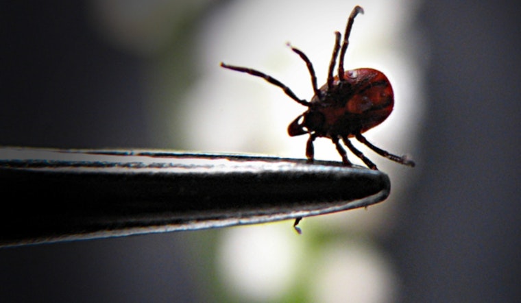 Scientists Spot Protein in Perspiration Shielding Against Lyme Disease