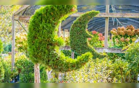 Scottsdale's Moon Valley Nurseries Targets National Expansion with $400 Million Revenue Forecast
