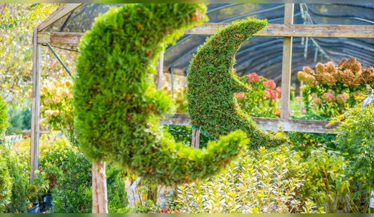 Scottsdale's Moon Valley Nurseries Targets National Expansion with $400 Million Revenue Forecast