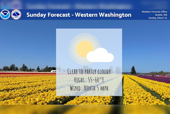 Seattle Braces for Mixed Bag of Sun and Showers with Cool Spring Week Ahead