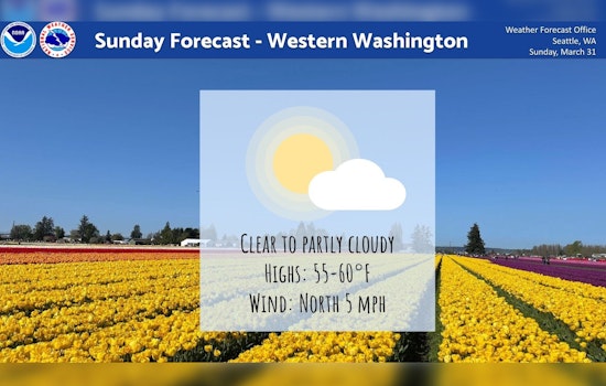 Seattle Braces for Mixed Bag of Sun and Showers with Cool Spring Week Ahead