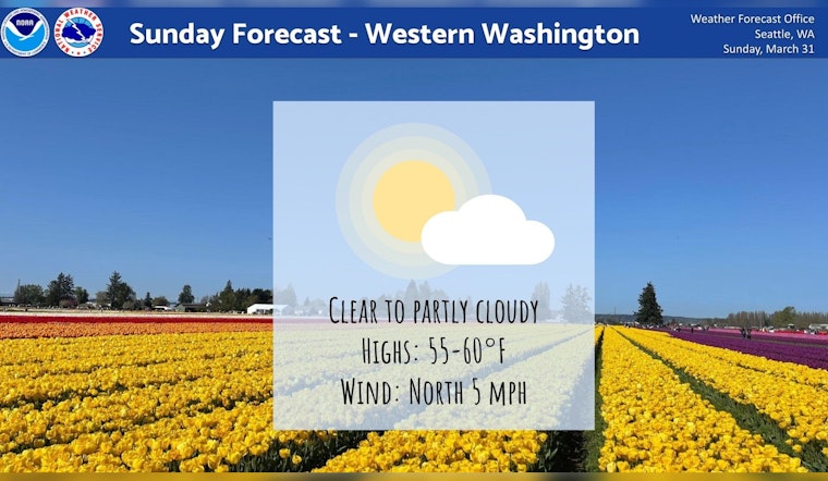Seattle Braces for Mixed Bag of Sun and Showers with Cool Spring Week Ahead