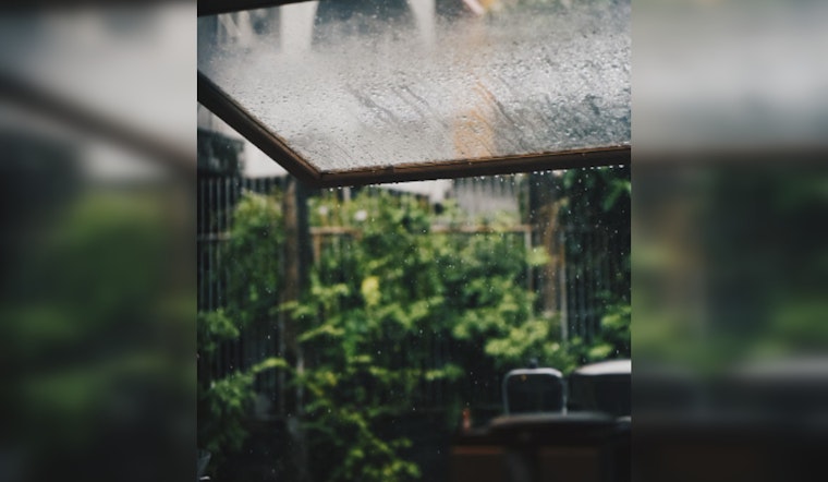 Seattle Braces for Rain-Soaked Week, High Winds, Sunny Respite Forecasted by Weekend