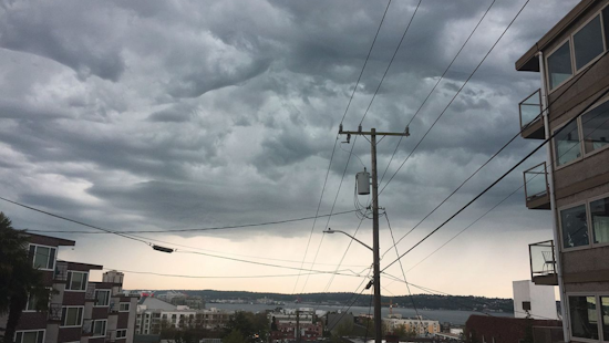 Seattle Braces for Soaked Week Ahead, NWS Forecasts Persistent Showers