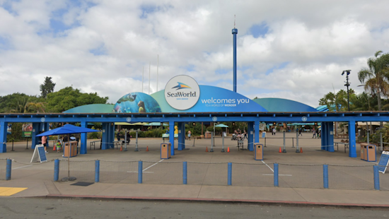 SeaWorld San Diego Launches 60th Anniversary Celebration with Fan Memories and New Attractions