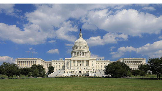 Senate Averts Government Shutdown with Bipartisan Approval of $460 Billion Spending Package