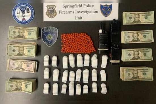 Springfield Police and State Authorities Arrest Nine in Drug and Illegal Weapons Sting