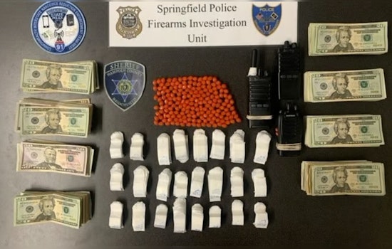 Springfield Police and State Authorities Arrest Nine in Drug and Illegal Weapons Sting