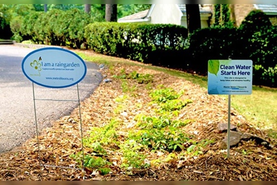 St. Louis Park Offers Homeowners Grants for Eco-Friendly Rain Gardens to Combat Runoff Pollution