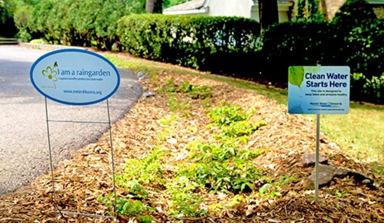 St. Louis Park Offers Homeowners Grants for Eco-Friendly Rain Gardens to Combat Runoff Pollution