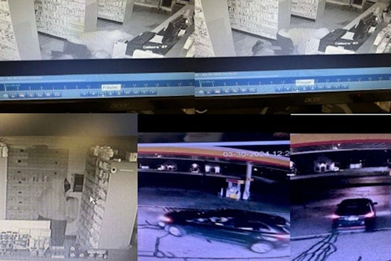 Stanwood Pharmacy Burglarized, Controlled Substances Stolen, Mecosta Sheriff Seeks Public's Help