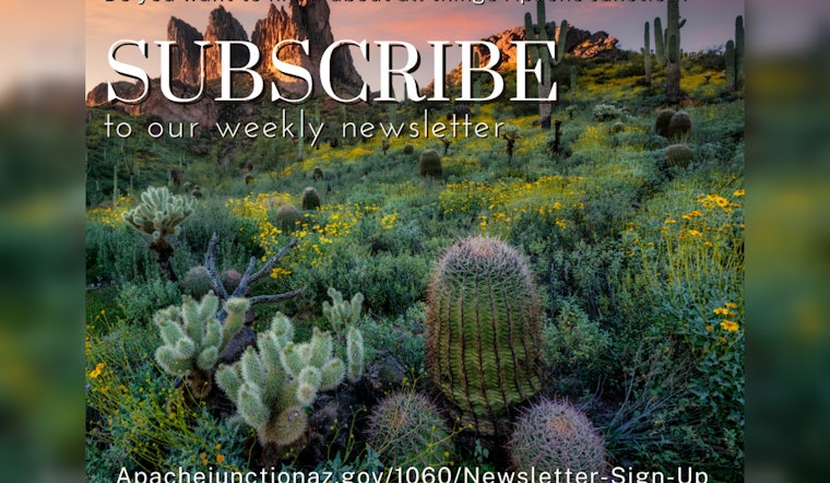 Stay Connected with Apache Junction: City Invites Snowbirds to Subscribe to AJ Weekly Newsletter