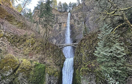 Stranded Hikers Near Multnomah Falls Overcome Perilous Cliff Predicament