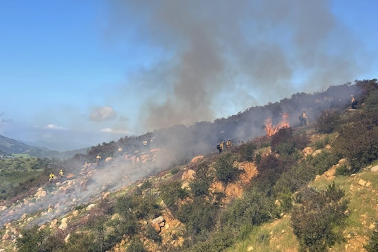 Strategic Controlled Burns Forge a Fire-Safe Future for Upper Ojai
