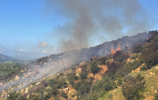 Strategic Controlled Burns Forge a Fire-Safe Future for Upper Ojai