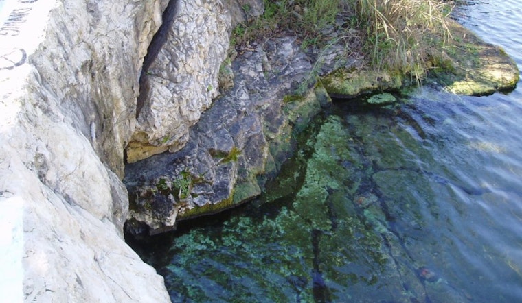 Study Reveals Texas Springs Drying Up at Alarming Rate, With Some Hope for Reversal
