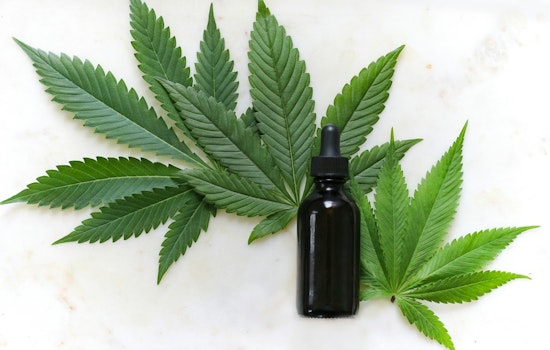 Study Unmasks Chicago Hemp Products Exceeding THC Limits Amid Nationwide Labeling Concerns