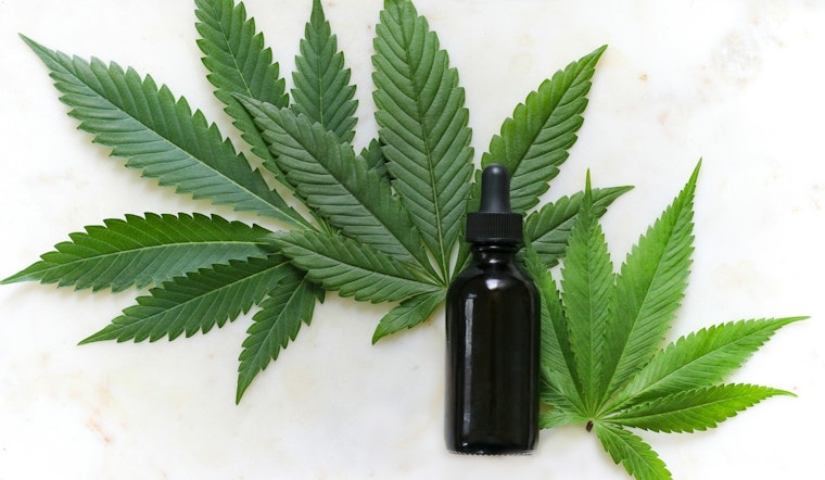 Study Unmasks Chicago Hemp Products Exceeding THC Limits Amid Nationwide Labeling Concerns